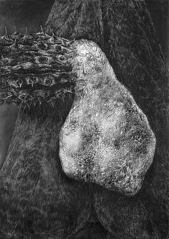 Click the image for a view of: Rosemarie Marriott. Geheg. 2007. Incised board, charcoal. 1020X725mm