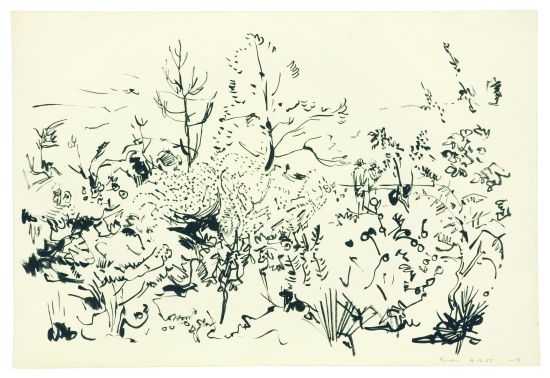 Click the image for a view of: Garden. 1955. Brush & ink. 291X430mm