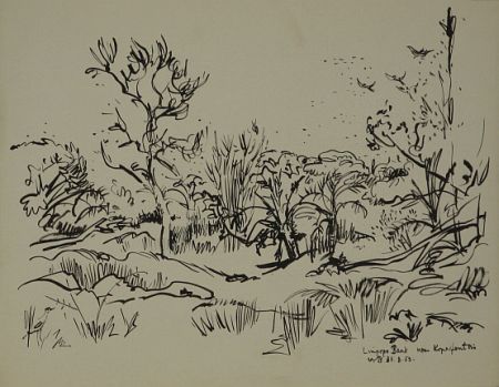 Click the image for a view of: Limpopo Bank. 1952. Brush & ink. 347X437mm