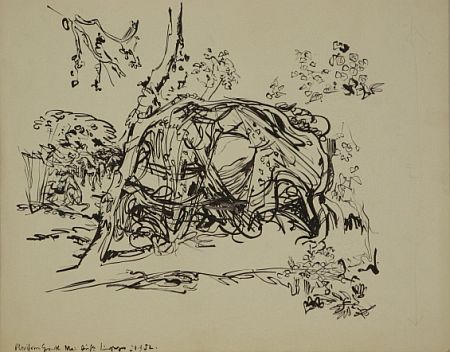Click the image for a view of: Plexiform Growth. 1952. Brush & ink. 349X437mm