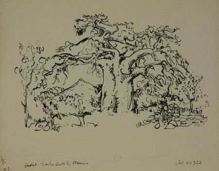 Click the image for a view of: Baobab. 1952. Brush & ink. 344X434mm