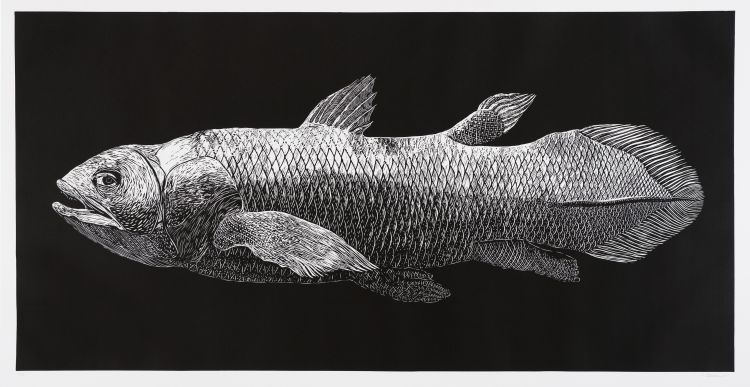 Click the image for a view of: Walter Oltmann. Coelacanth. 2009. Linocut. Edition 10. 2100X1050mm