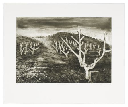 Click the image for a view of: Alien Landscape, White River I. 2009. Etching. Edition 15. 435 x 528mm
