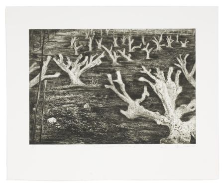 Click the image for a view of: Alien Landscape, White River II. 2009. Etching. Edition 15. 430 x 525mm