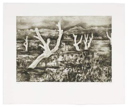 Click the image for a view of: Alien Landscape, White River III. 2009. Etching. Edition 15. 435 x 526mm