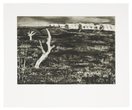 Click the image for a view of: Alien Landscape, White River IV. 2009. Etching. Edition 15. 435 x 525mm