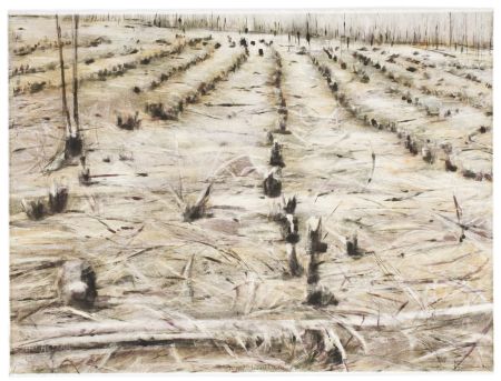 Click the image for a view of: Stripped, Lowveld Plantation II. 2010. Lithograph. Edition 30. 574 x 767mm