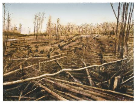 Click the image for a view of: Stripped, Lowveld Plantation I. 2010. Lithograph. Edition 30. 574 x 767mm
