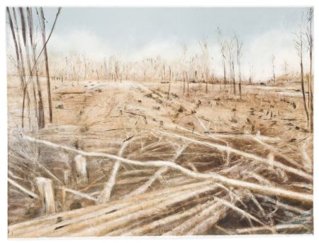Click the image for a view of: Stripped, Lowveld Plantation I. 2010. Monotype. 574 x 768mm