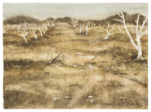 Click the image for a view of: Alien Orchard I. 2009. Monotype. 782 x 1075mm