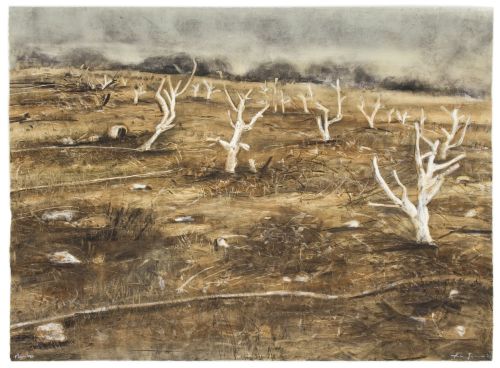 Click the image for a view of: Alien Orchard II. 2009. Monotype. 782 x 1075mm