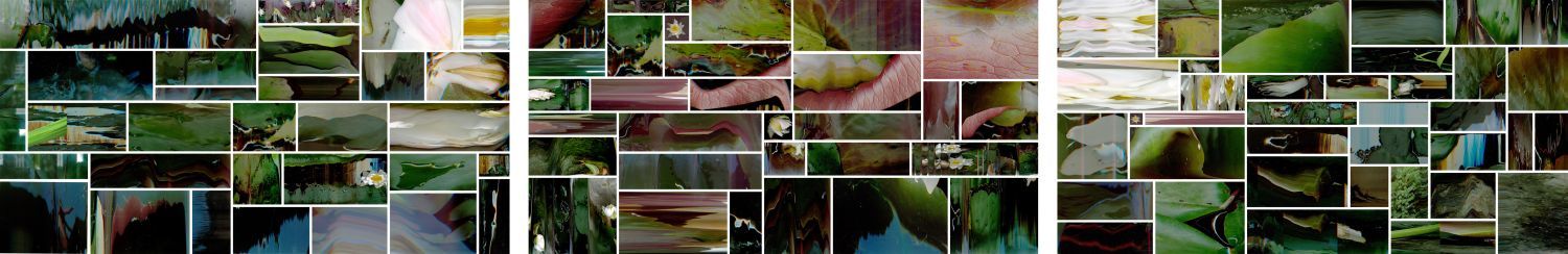 Click the image for a view of: Nathaniel Stern. Giverny of the Midwest installation. 2011. Archival digital prints. Edition 3. 2 X 12m