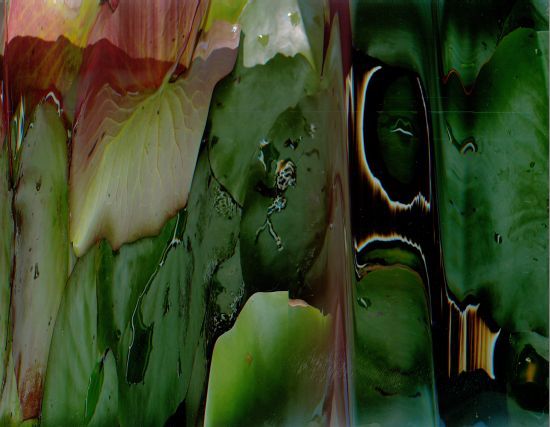 Click the image for a view of: Nathaniel Stern. Giverny of the Midwest detail. 2011. Archival digital print. Edition 3. 567X686mm
