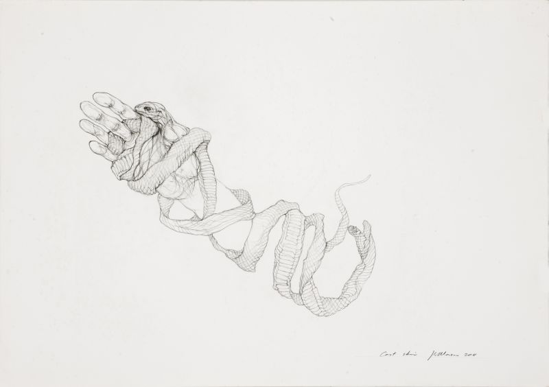 Click the image for a view of: Cast skin. 2011. Pencil on paper. 500X703mm