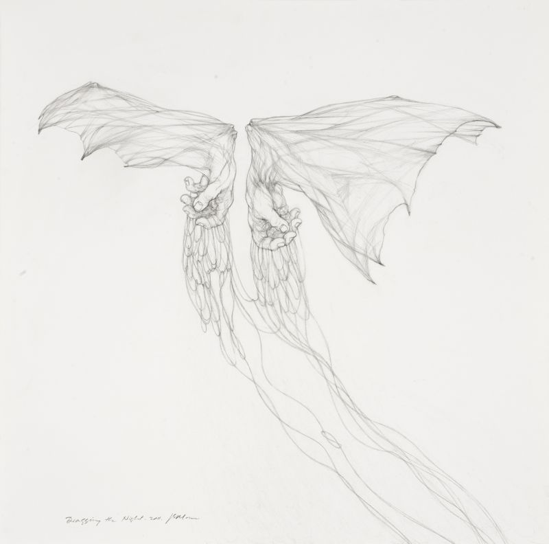 Click the image for a view of: Dragging the Night. 2011. Pencil on paper. 620X615mm