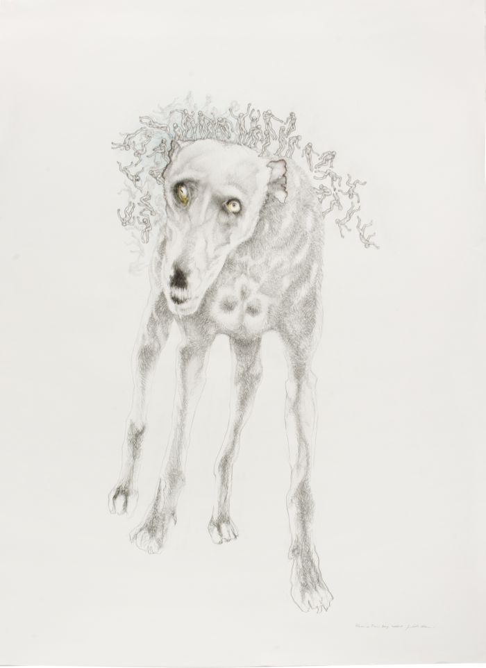 Click the image for a view of: Fleas on Times Dog. 2010  11. Pencil and coloured pencil on paper. 1475X1045mm