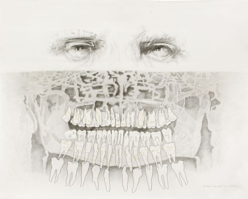 Click the image for a view of: Mouthpiece Commandant. 2011. Pencil and coloured pencil on paper. 1175X1497mm