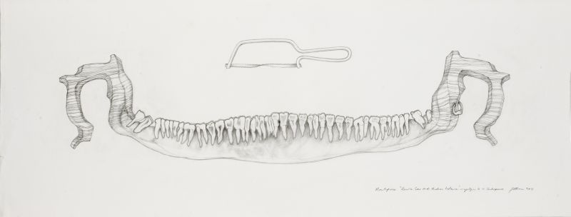 Click the image for a view of: Mouthpiece Unwise Saw and Modern Instance- apologies to W. Shakespeare. 2011. Pencil on paper. 410X1090mm
