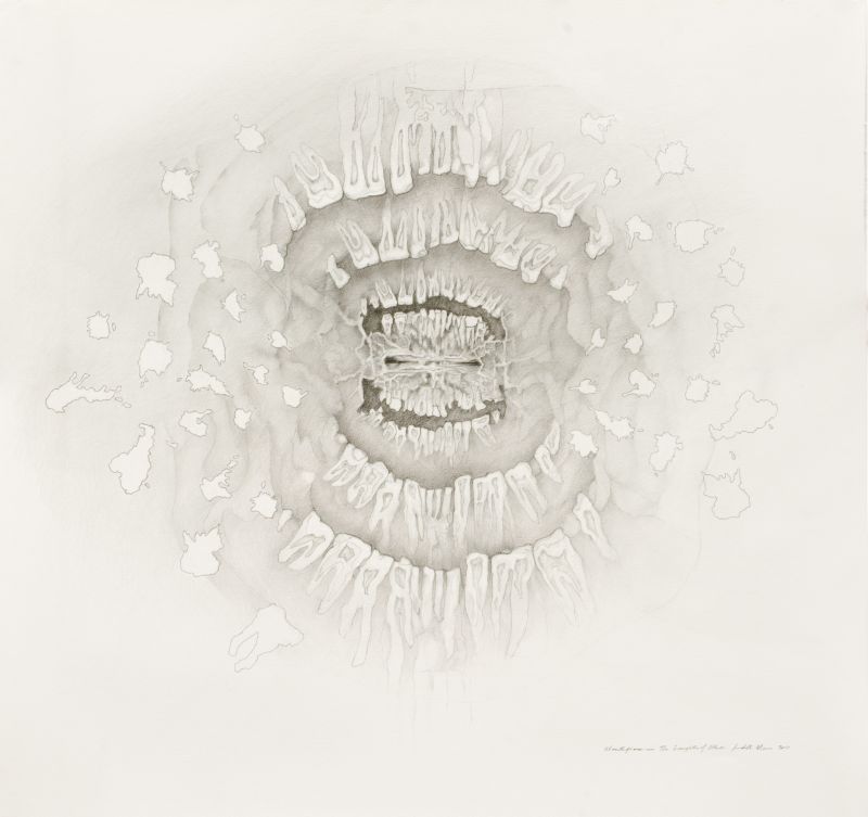 Click the image for a view of: Mouthpiece- The Laughter of Others. 2011. Pencil and coloured pencil on paper. 1015X1065mm