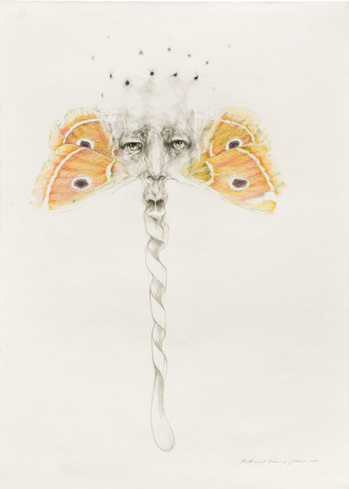 Click the image for a view of: Mothmask Drawing. 2011. Pencil and coloured pencil on paper. 696X498mm