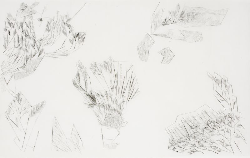 Click the image for a view of: Fynbos. 2010. Ink on Japanese paper. 630X986mm