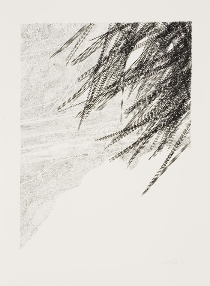 Click the image for a view of: Paths, rain. 2011. Ink on paper. 769X568mm