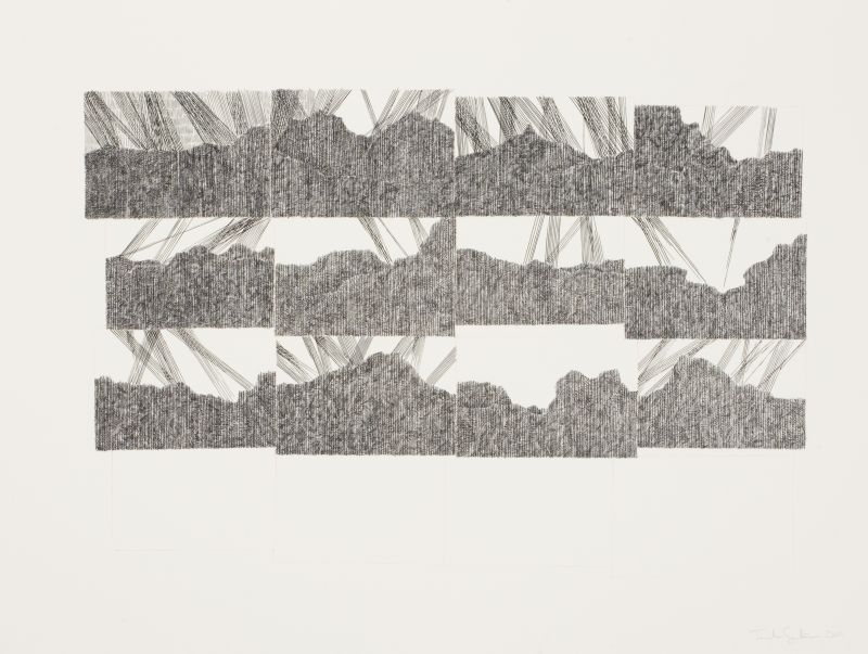 Click the image for a view of: 16 Landscapes. 2011. Ink, coloured pencil on paper. 572X765mm