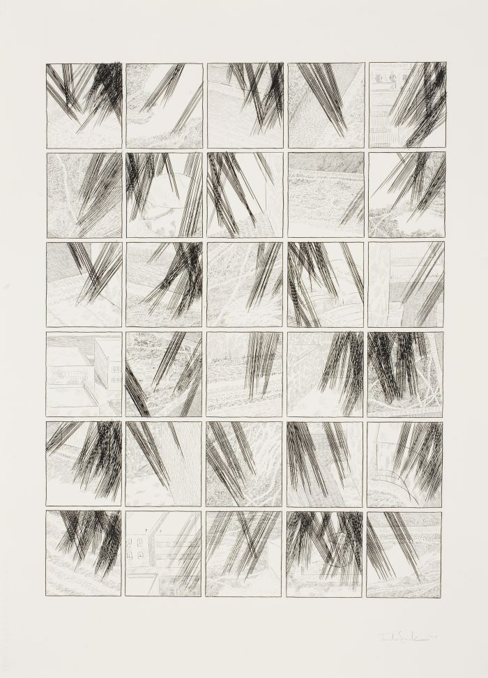 Click the image for a view of: From Above. 2011. Ink, pencil on paper. 766X565mm