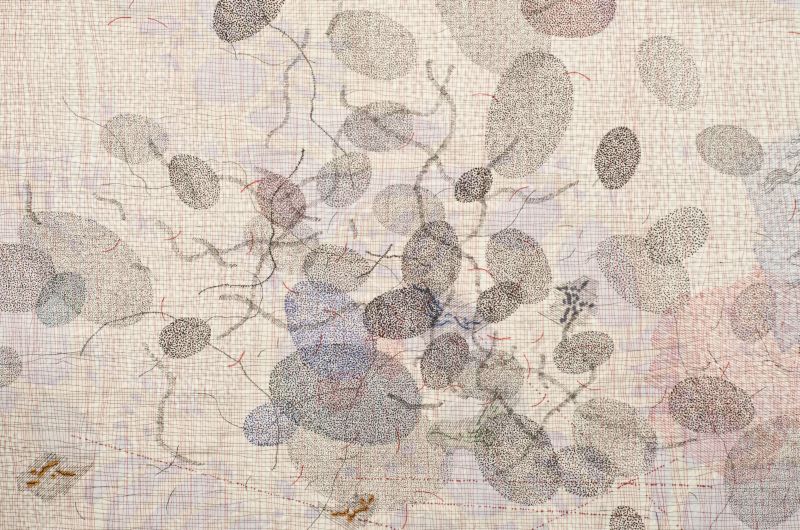 Click the image for a view of: Richard Penn. Coagulate (detail). 2012. Pen & ink on paper
