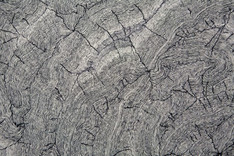 Click the image for a view of: Deterministic Chaos Drawing #033 (detail).