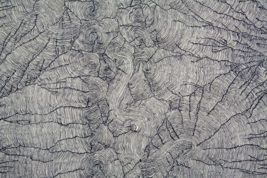 Click the image for a view of: Deterministic Chaos Drawing #037 (Future Imagining) (detail).