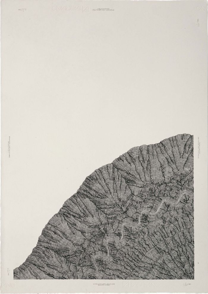Click the image for a view of: Deterministic Chaos Drawing #039 (Reccuring Ritual). 2012. Ballpoint pen on paper. 710X500mm