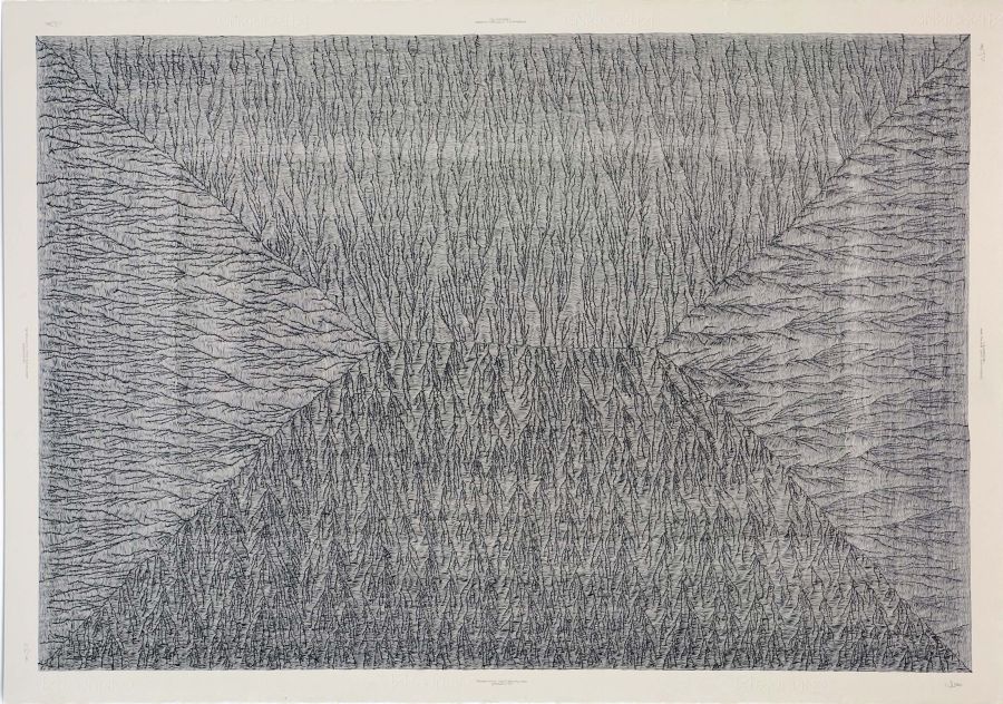 Click the image for a view of: Deterministic Chaos Drawing #044 (Amalachite). 2012. Ballpoint pen on paper. 705X1000mm