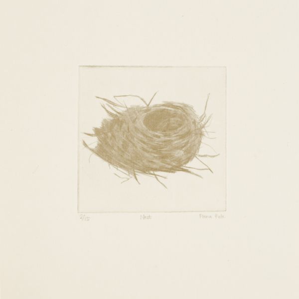 Click the image for a view of: Flight: Nest. 2011. Etching. Edition 15. 185X170mm