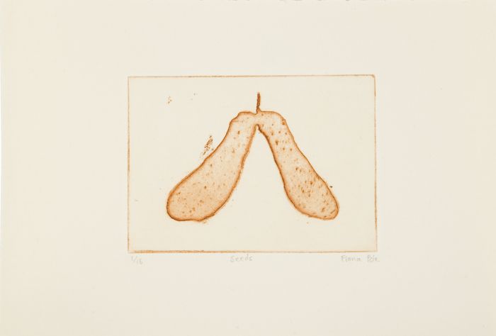 Click the image for a view of: Moving: Seeds. 2011. Etching. Edition 15. 126X178mm