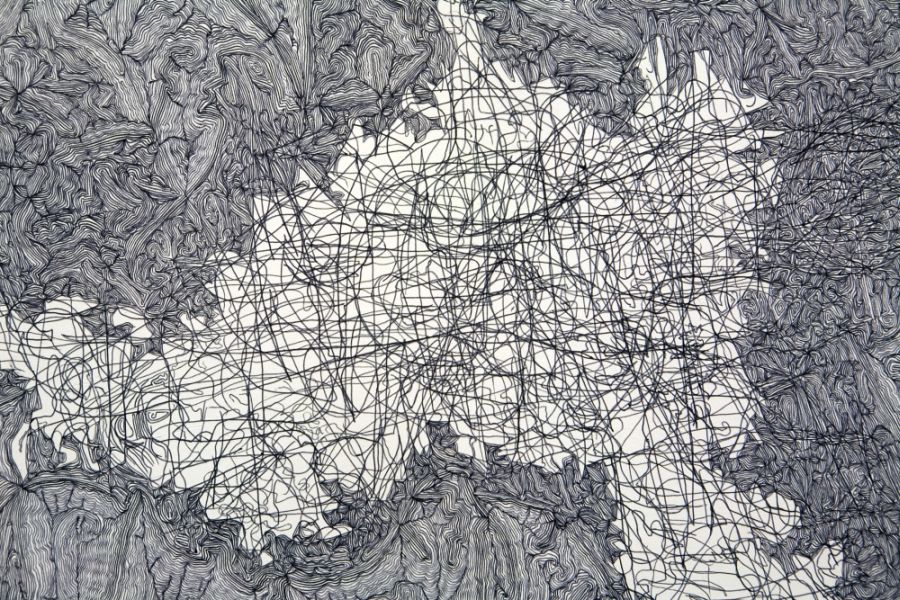 Click the image for a view of: Neil le Roux. Deterministic Chaos Drawing #030 (D.I. Break) (detail). 2011. Ballpoint pen on paper. 500X710mm