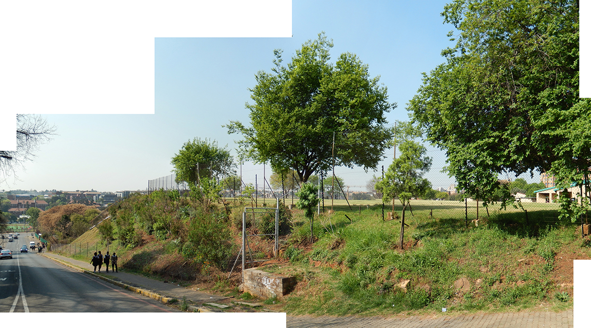 Click the image for a view of: Bramble Fountain Food Forest. September 2015.